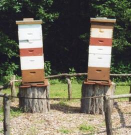  Hives leaning; top heavy hives; photo by The BeeMD photo collection
